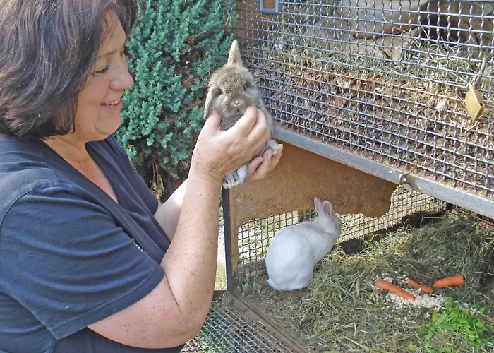 Appartamento Prosecco Gravedona